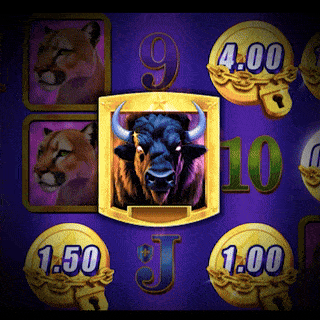 Bison GIF preview