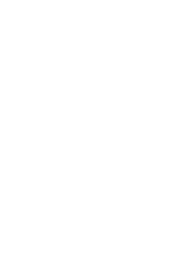 The Cucumber & The Frog