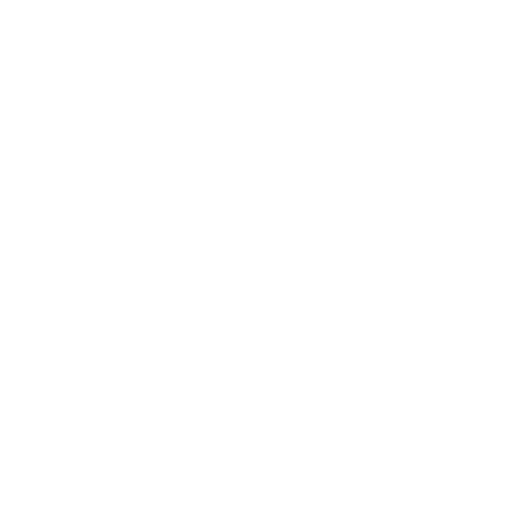 Club Champion Gymnastics logo