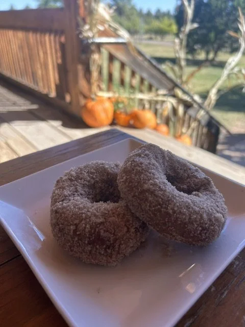 Kids enjoying activities at the Manzano Mountain Retreat Apple Festival