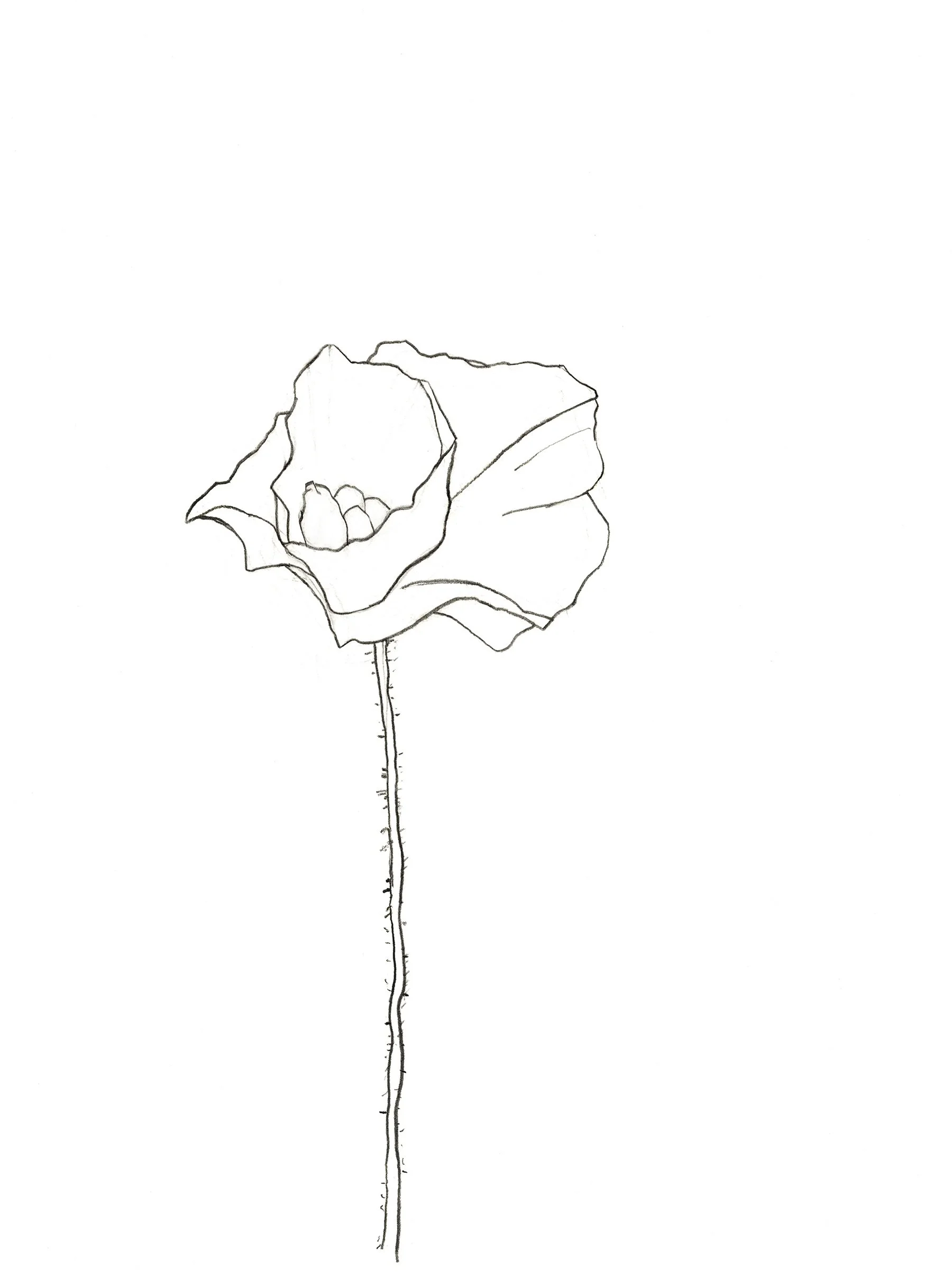 Remembrance