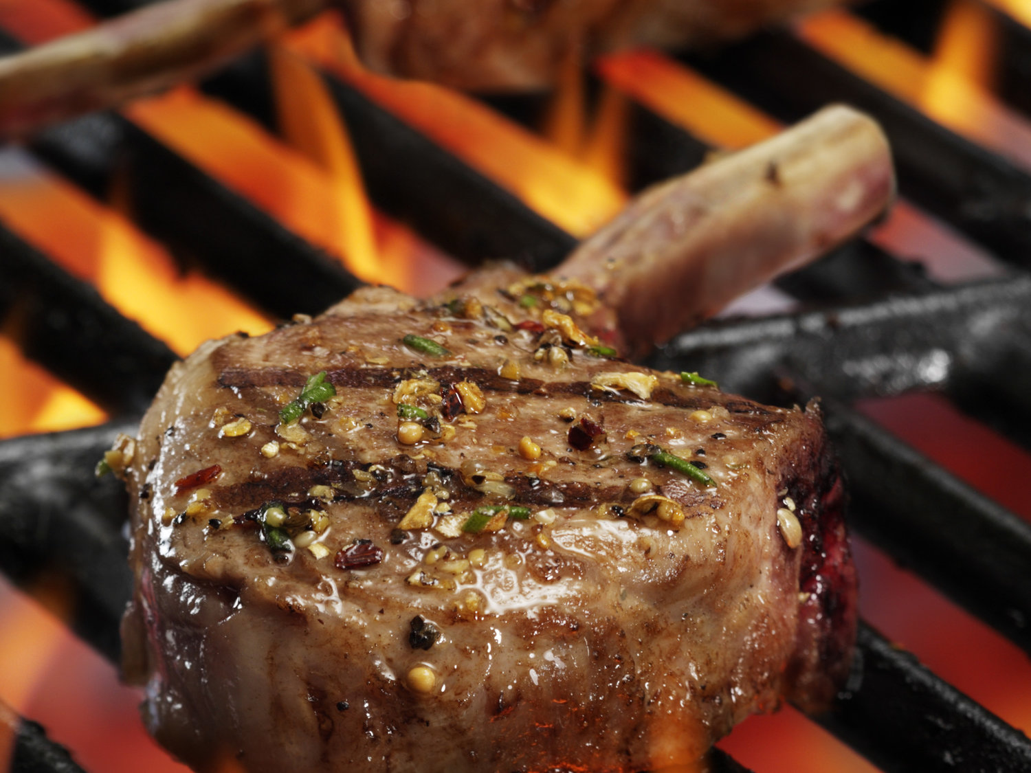 Grilled Lamb Chops