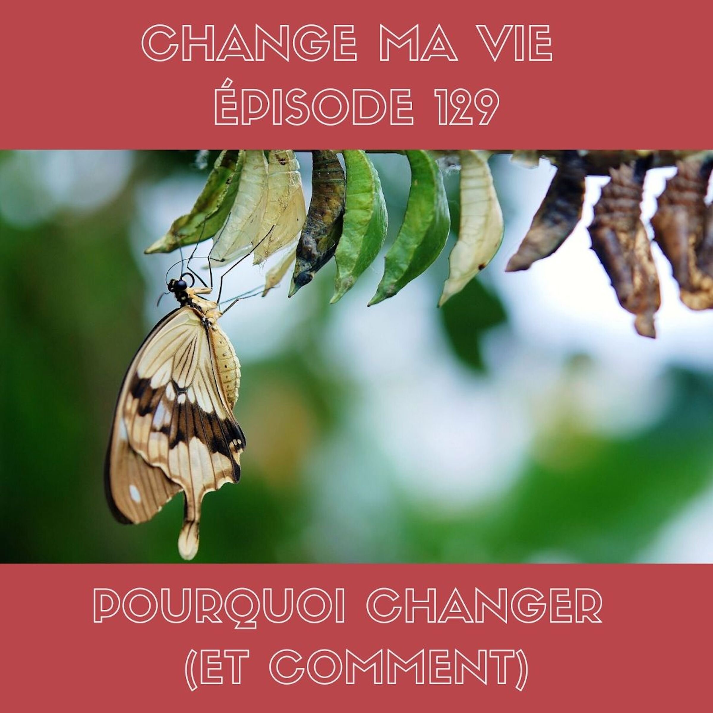 Illustration de l'épisode de Change ma vie
