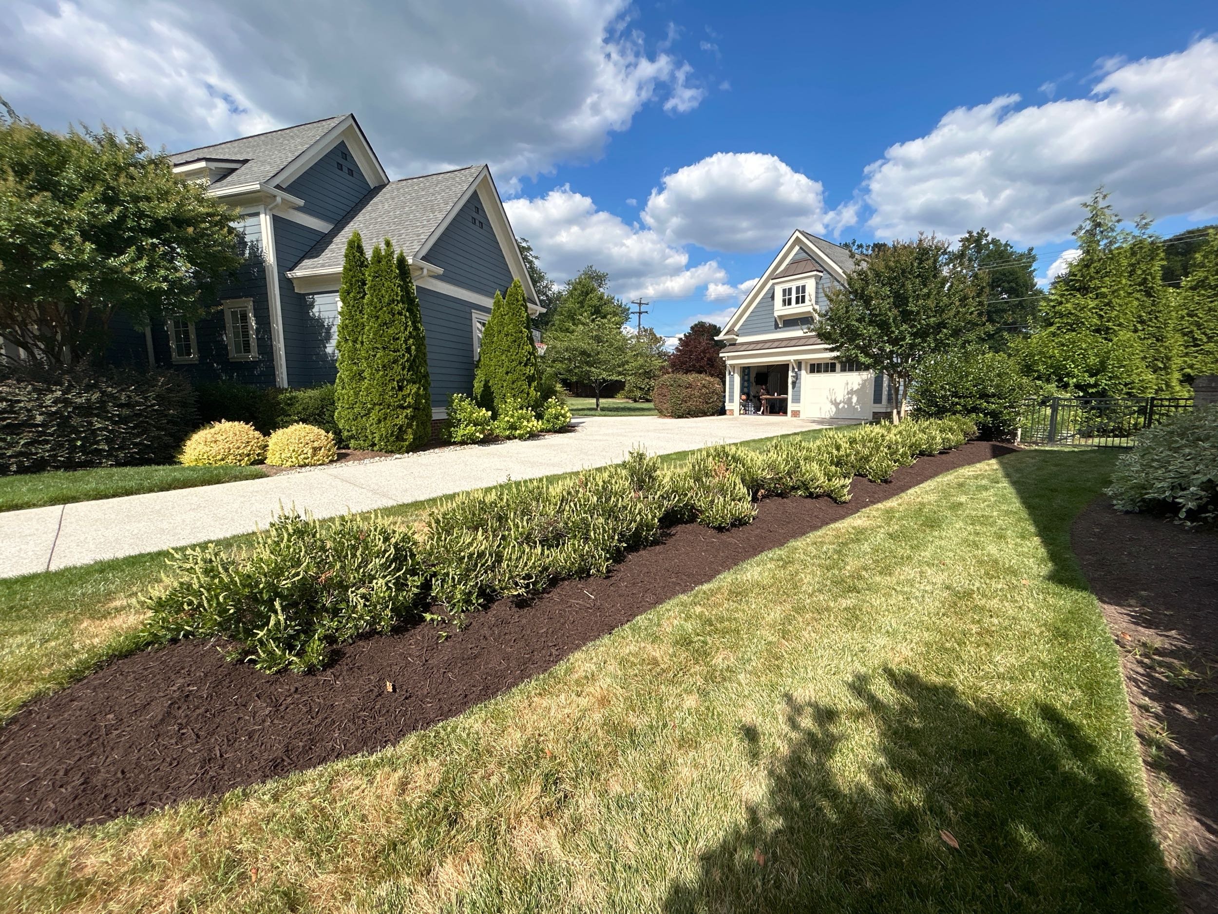 A picture of a lawn bed that's been freshly mulched, with three plants in front of a house.