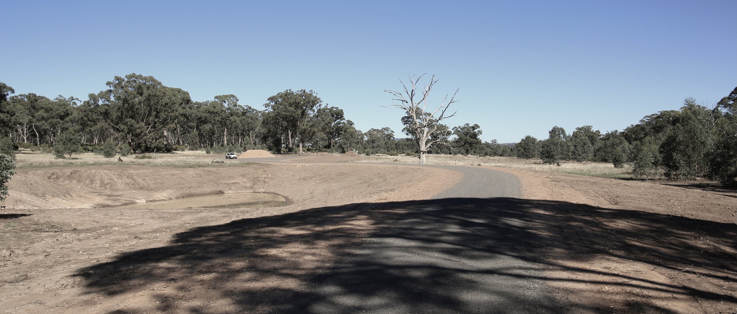 Big Tree Masterplan