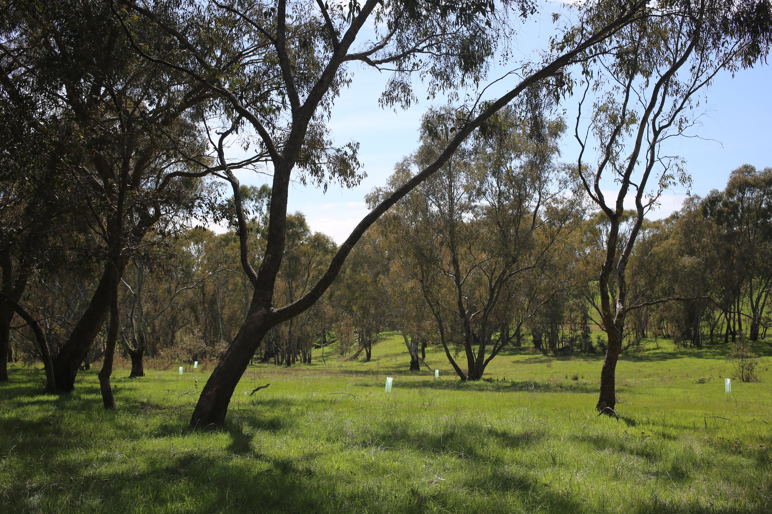Barfold Farm