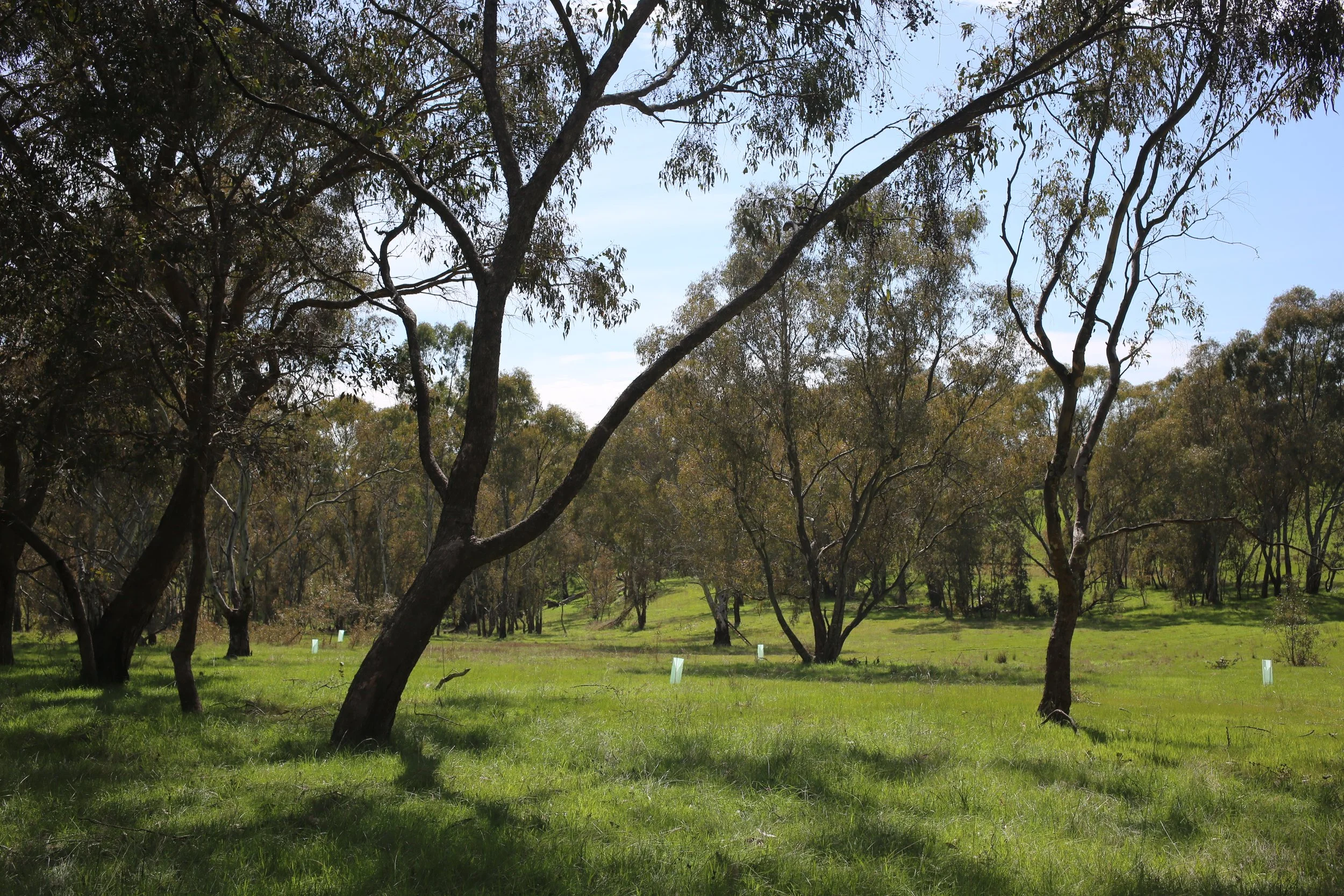 Badger Creek