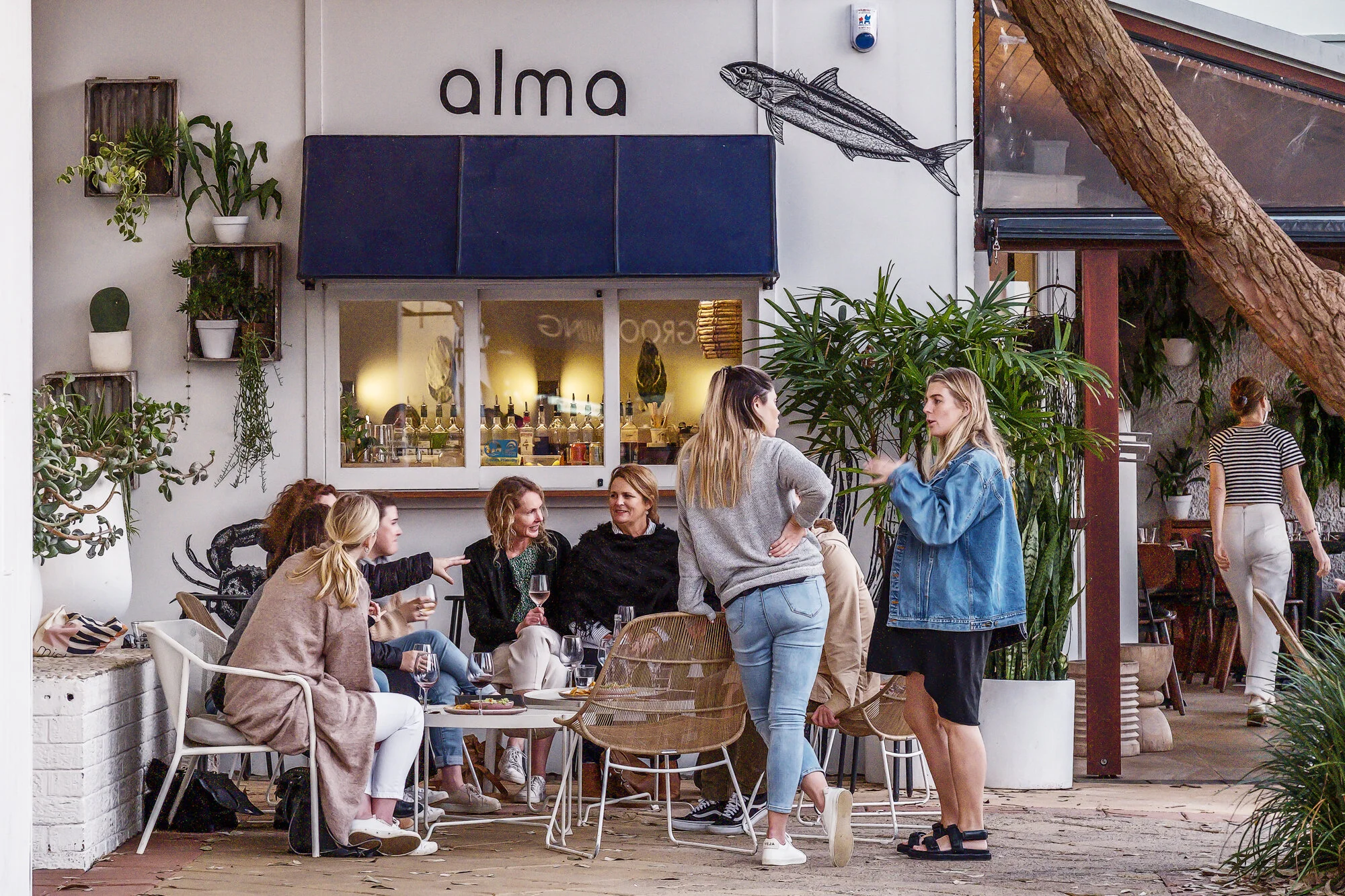 Groups and celebrations