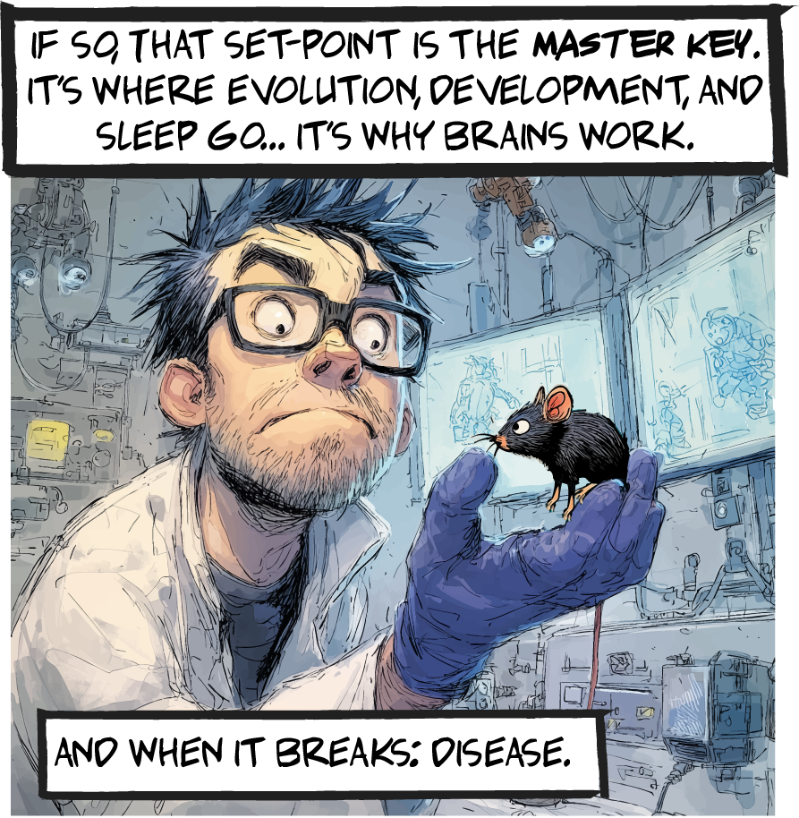 Panel 5