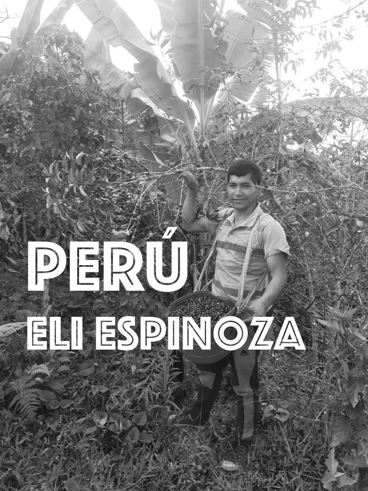 Peru Eli Espinoza Soberon Single Origin Coffee