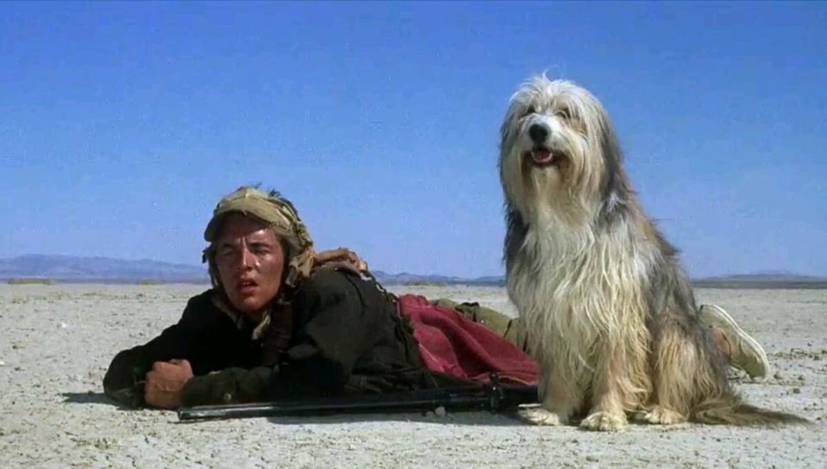 A Boy And His Dog (1975) –  Comedy, Drama, Sci-Fi