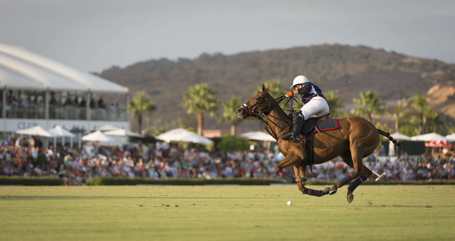 Polo Sport field