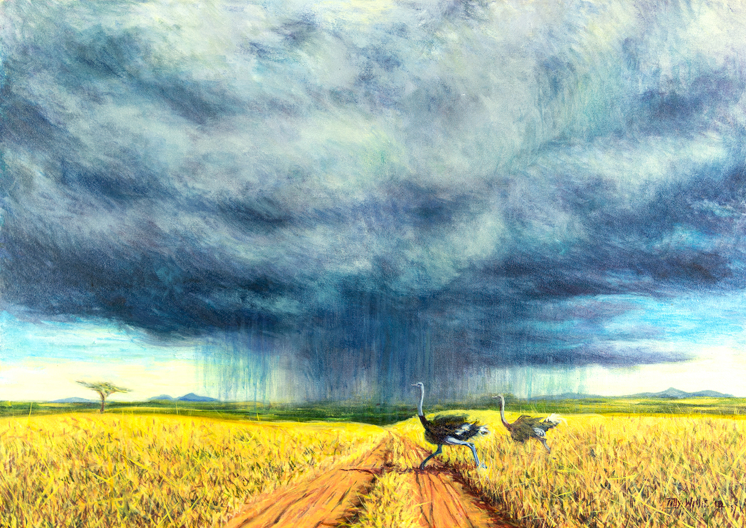 Savanah storm. Уиллис Тилли. Savana Storm. Oil Painting Stormy field.