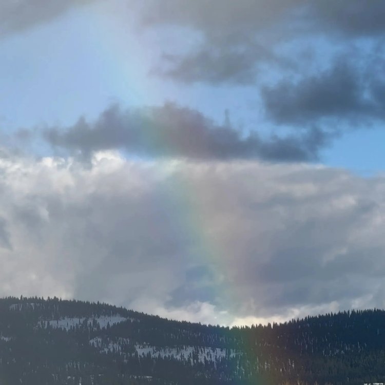 Town of Truckee Pride Month Proclamation