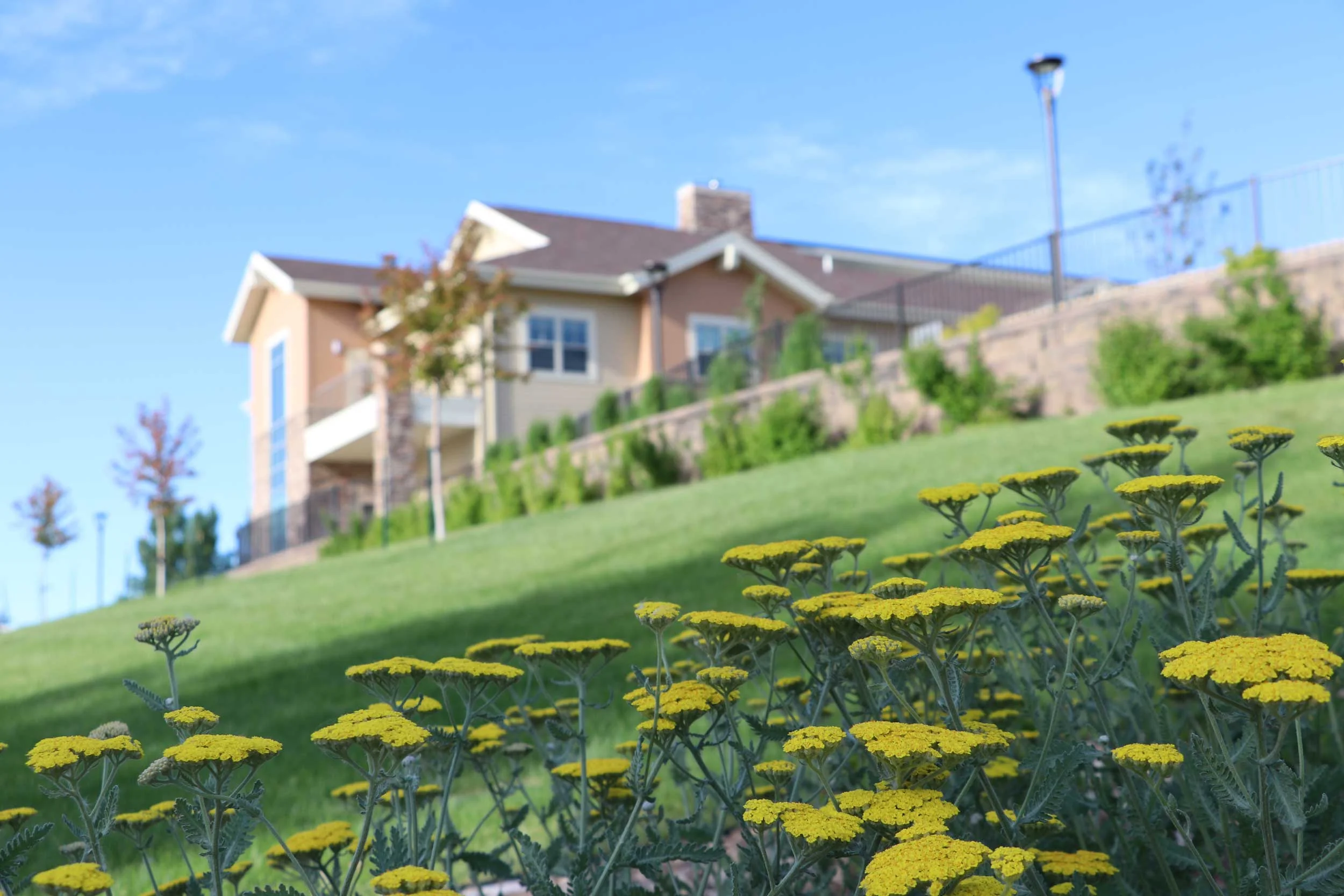 Gillette Commercial Courtyard