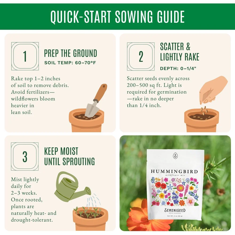 Sereniseed wildflower seed quick-start sowing guide