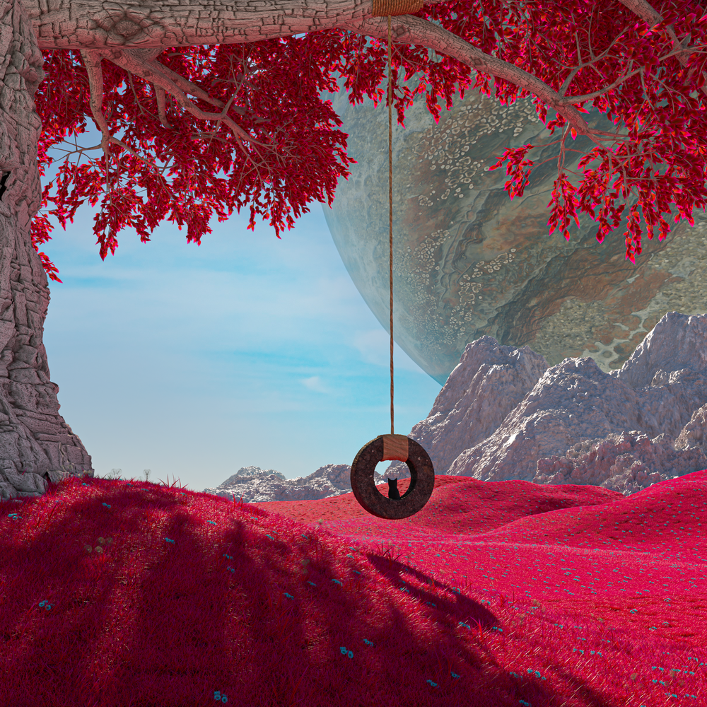 Cat Edit, from the Album Art & Visual Identity collection