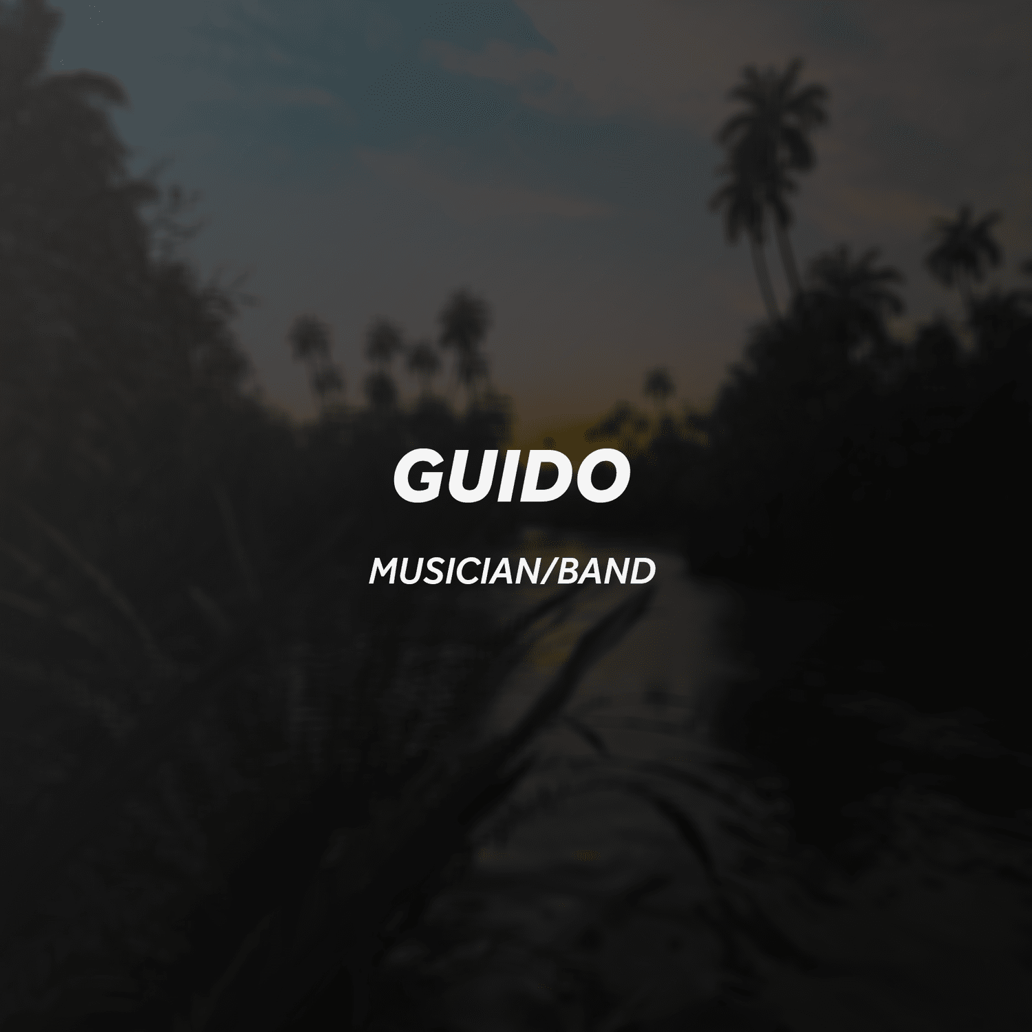 Design work for Guido