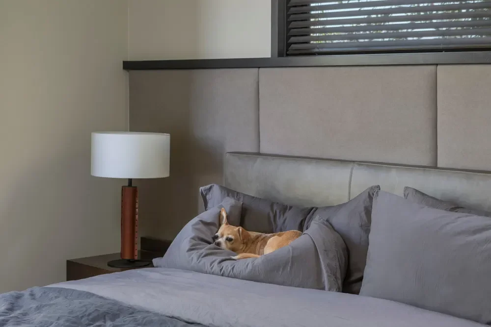 Silver Lake Bungalow — professional interior photograph
