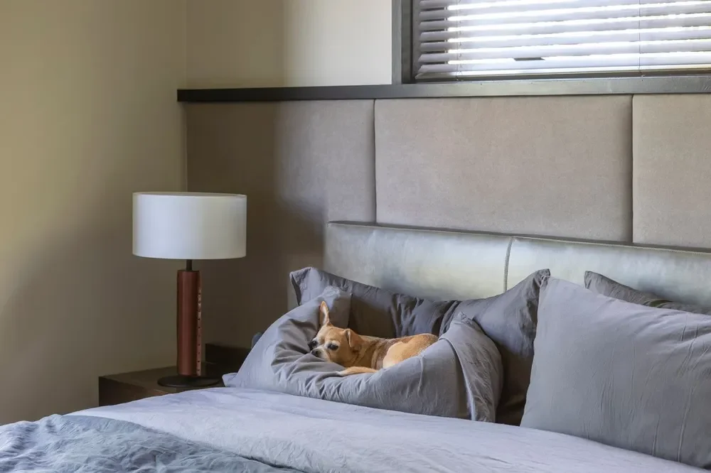 Silver Lake Bungalow — professional interior photograph