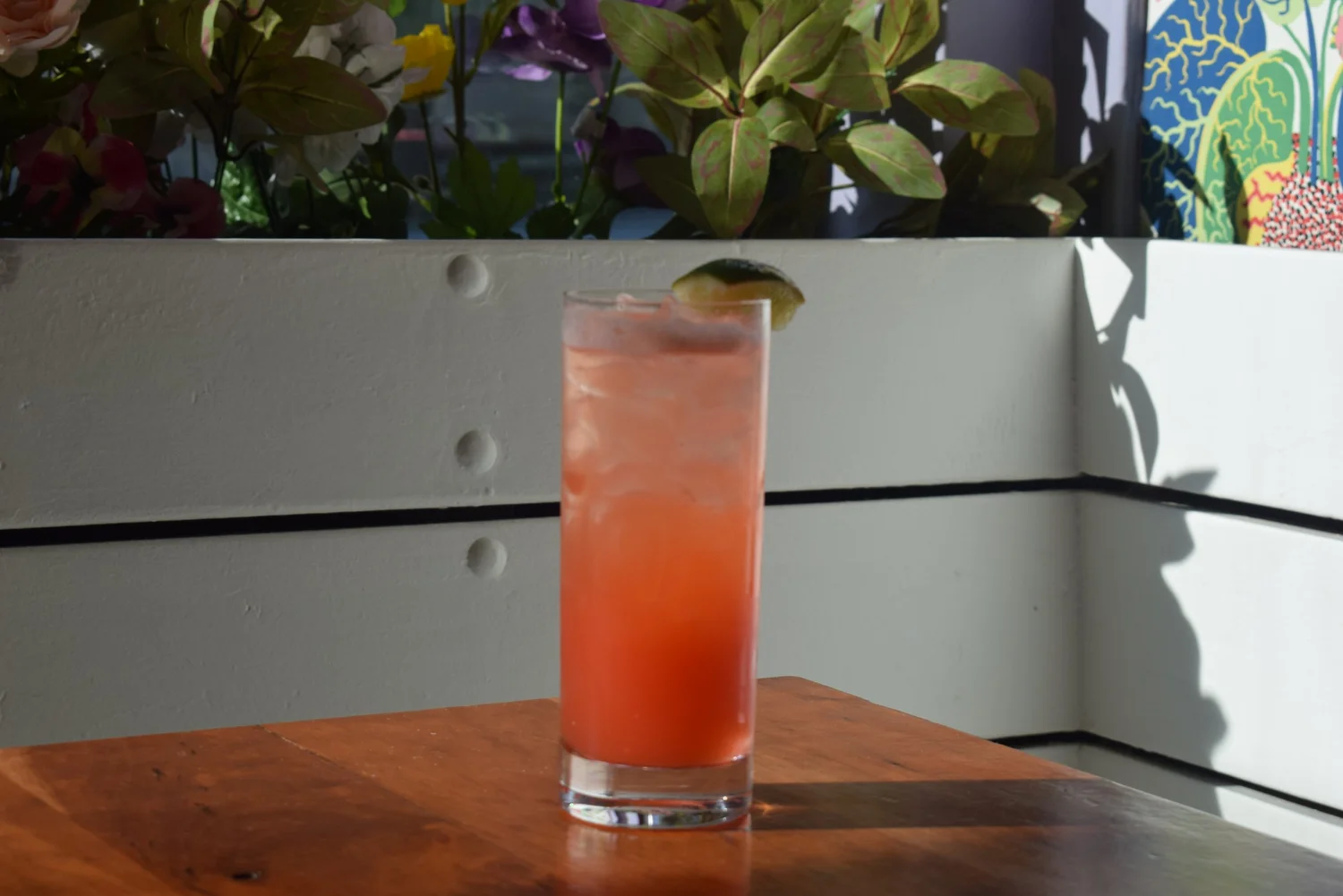 Salsa's fruity cocktail