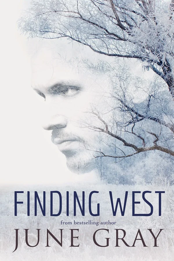Find w. Find w