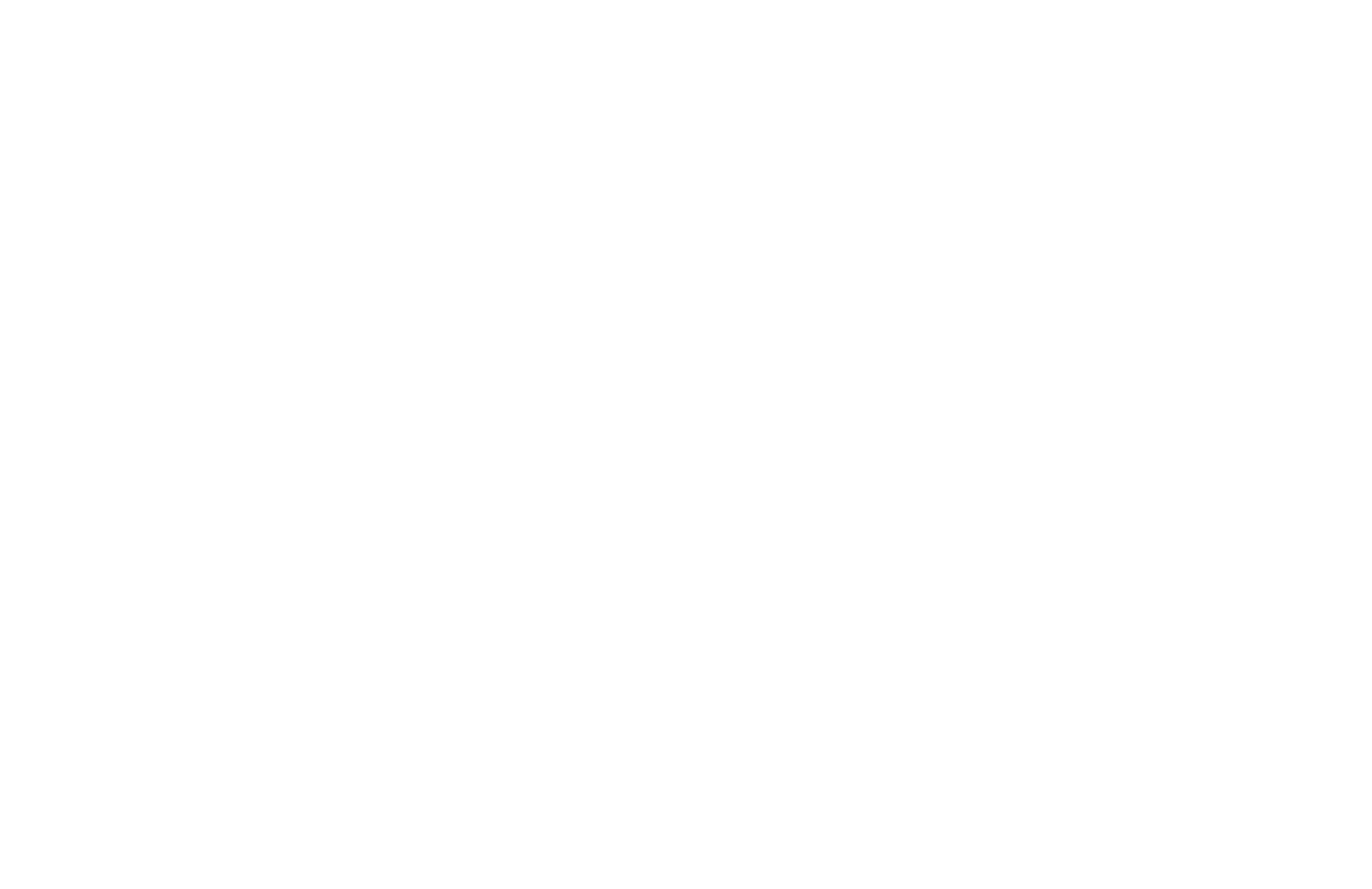 Buffalo Film Festival Laurel
