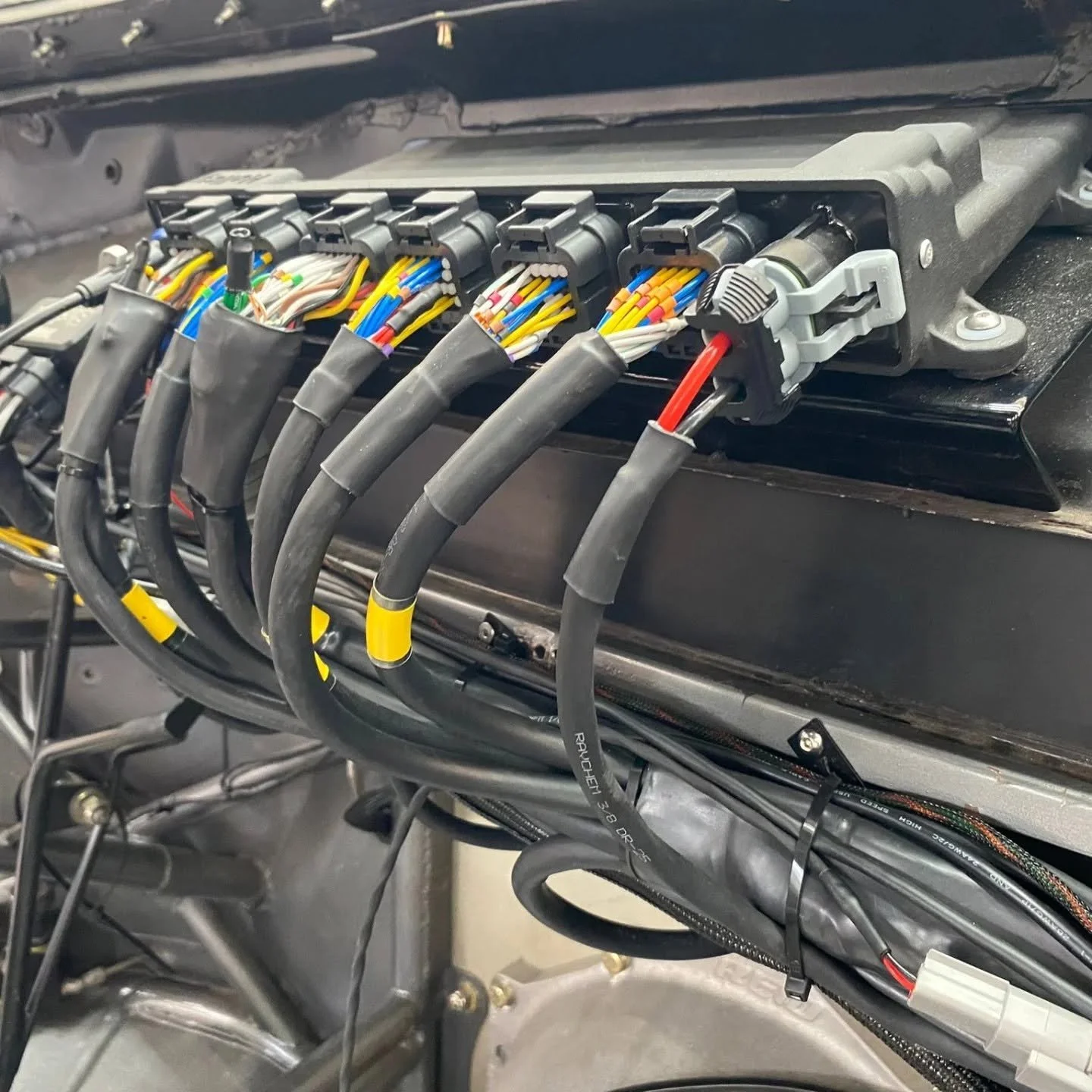 LTR Wiring harness branches connected to a Holley ECU