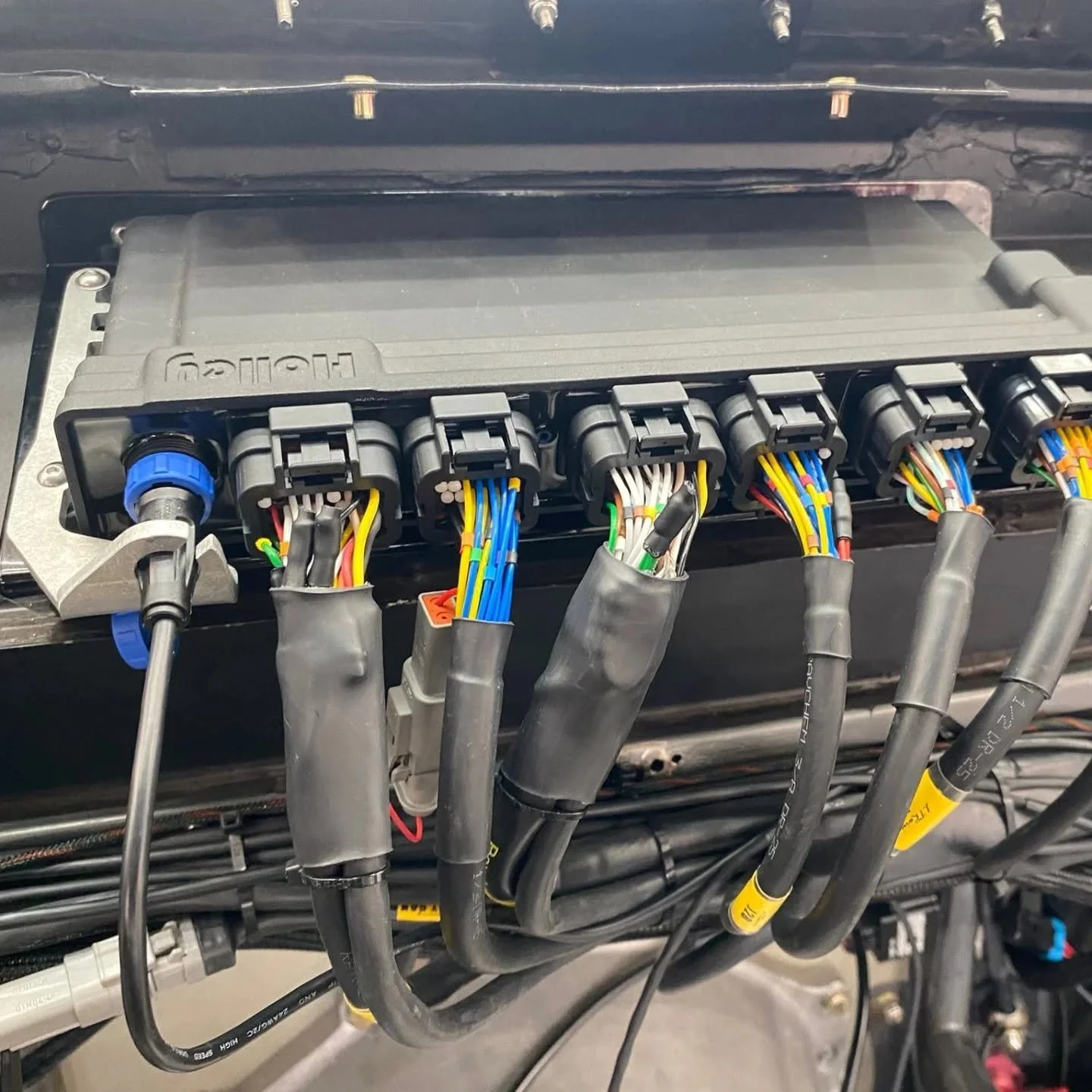 Detailed Holley ECU harness connections