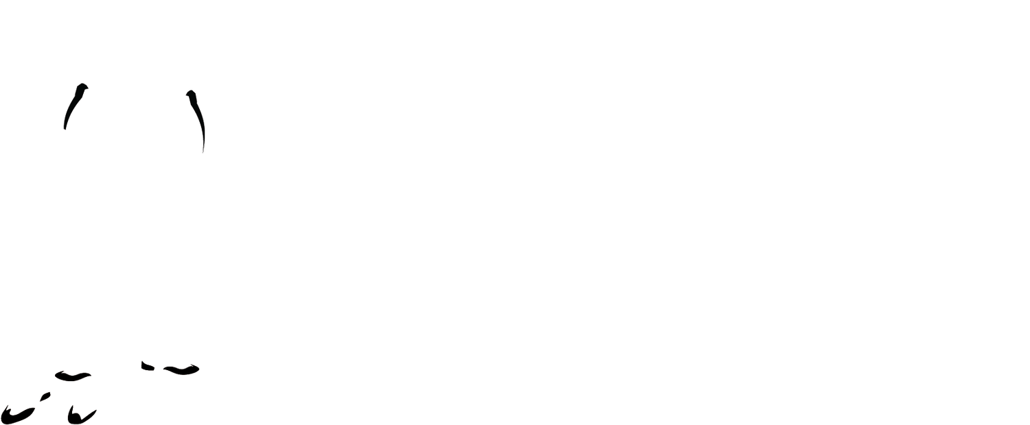 Salsa Classes - Salsa y Control
