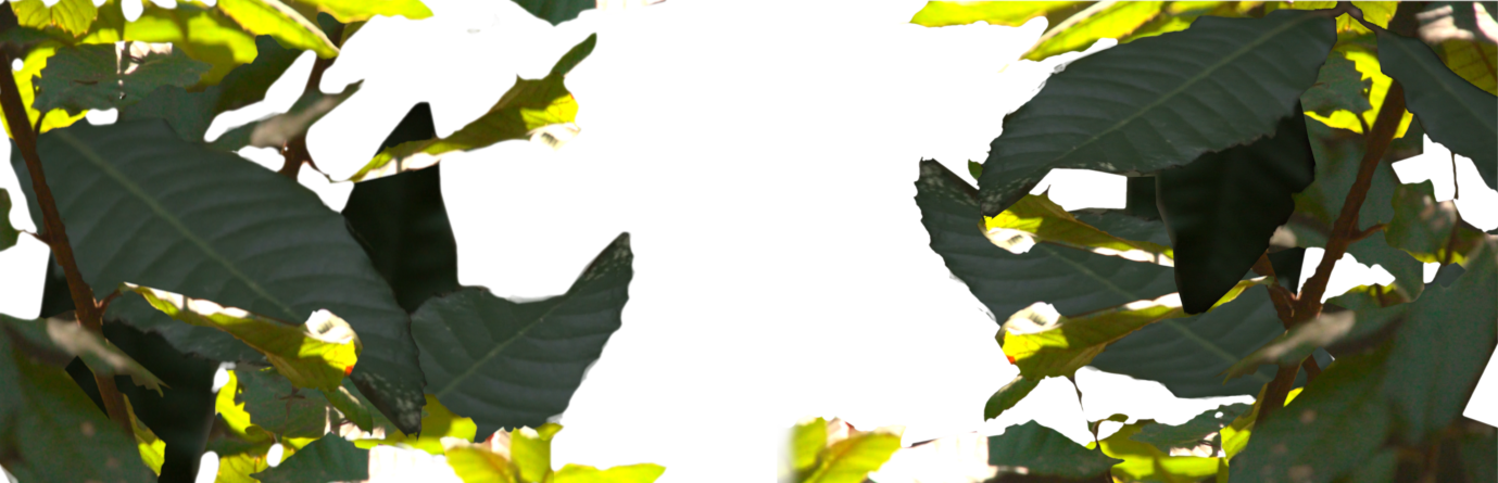leafbackgroundparallax