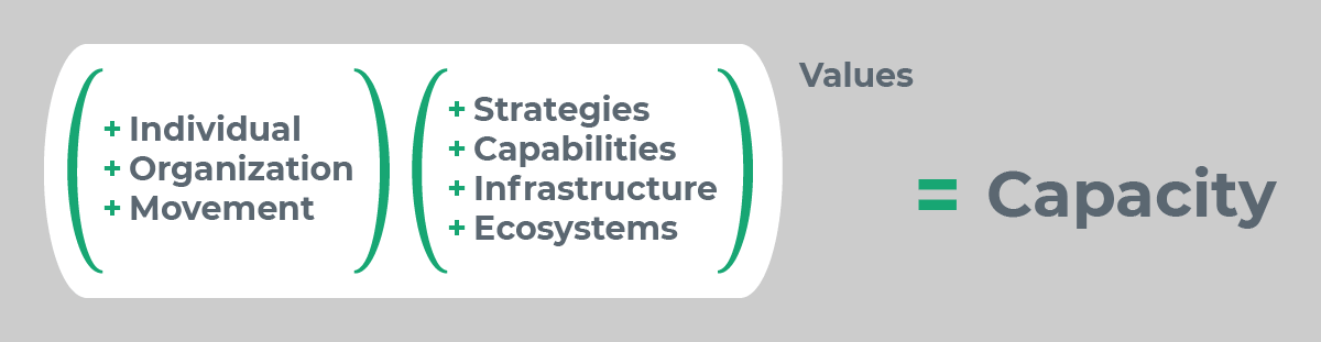 Capacity =[(Individual+Organization+Movement)(Strategies+Capabilities+Infrastructure+Ecosystems)]^Values
