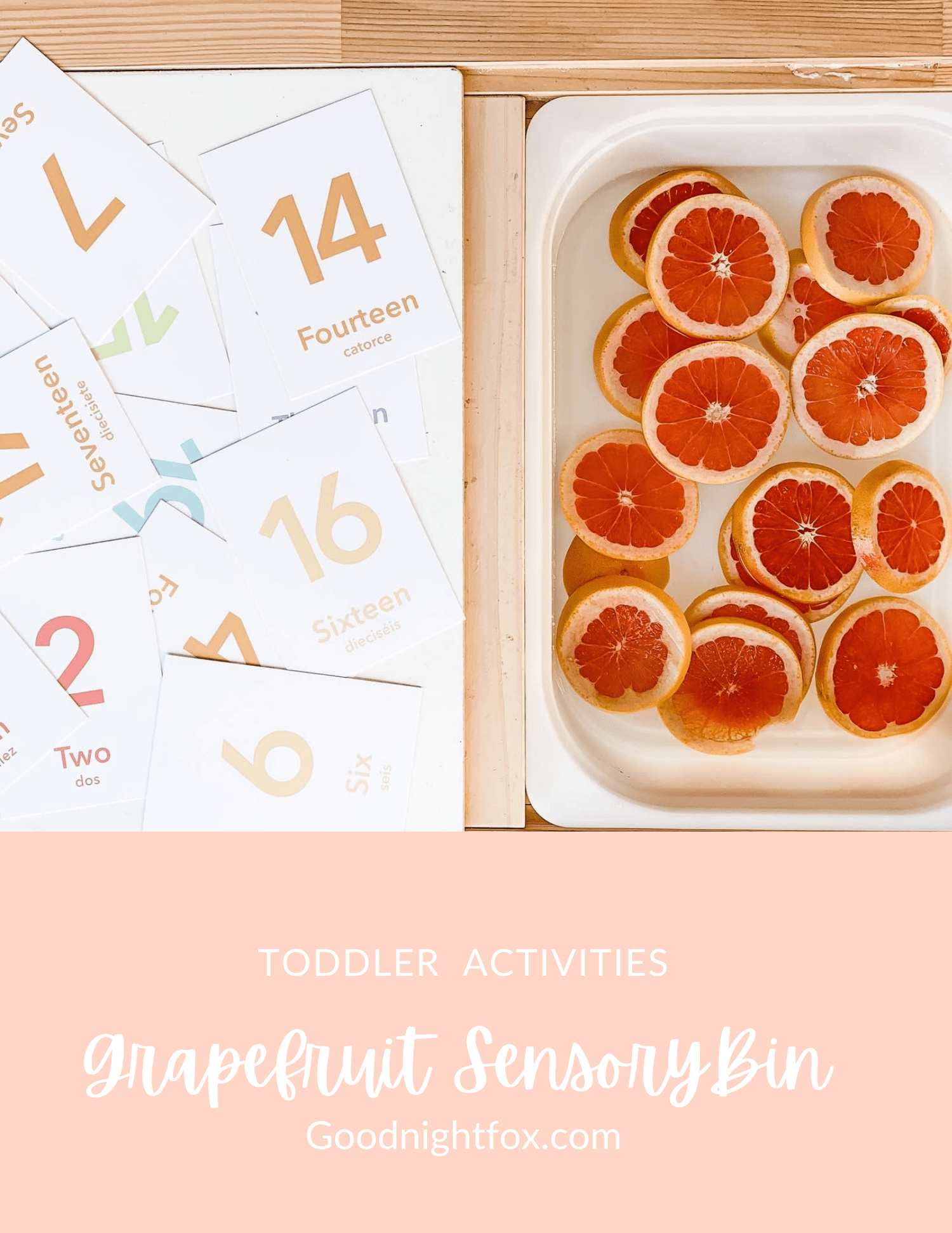 Grapefruit counting sensory bin