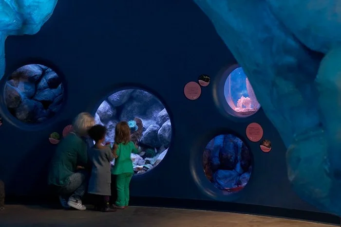 Shedd Aquarium 2006 Master Plan