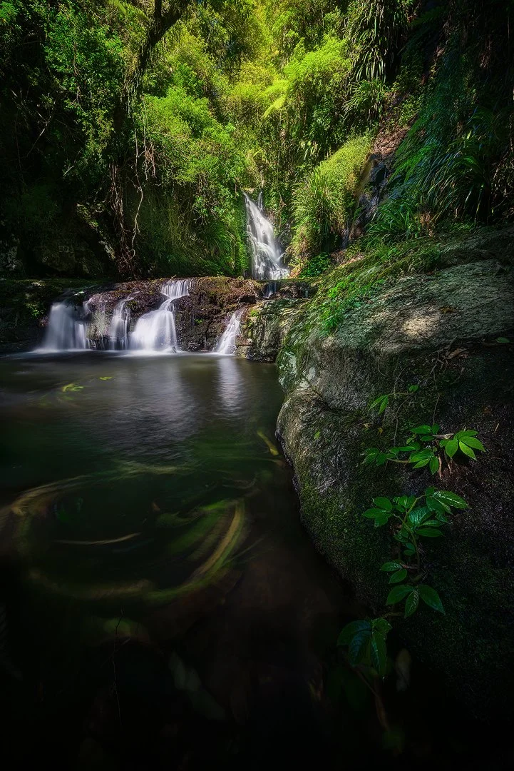 Elabana Falls waterfall photography — Lamington National Park Queensland rainforest long exposure