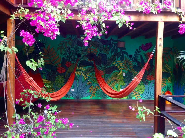 Hammocks under bougainvillea