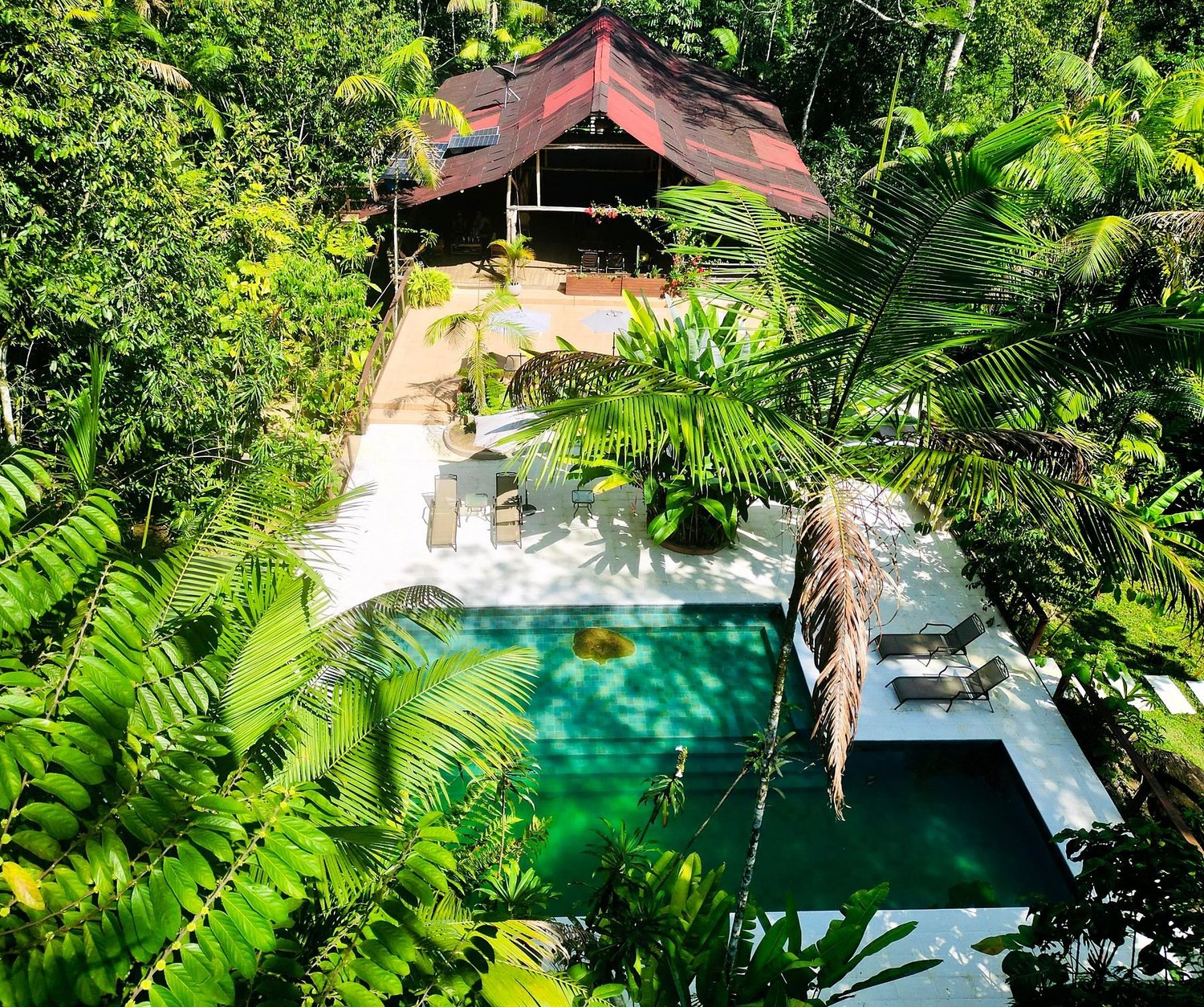 The jungle pool from above