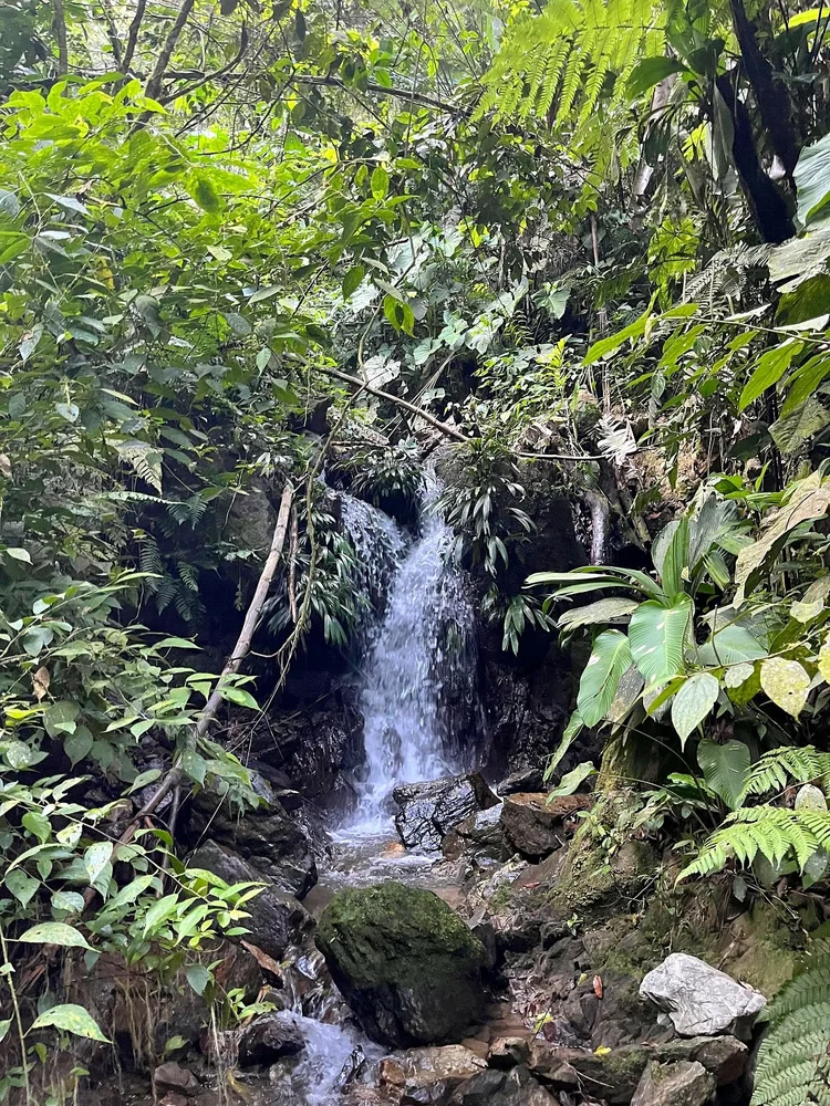 Casa Kiwi Cocorná · Waterfalls in the forest