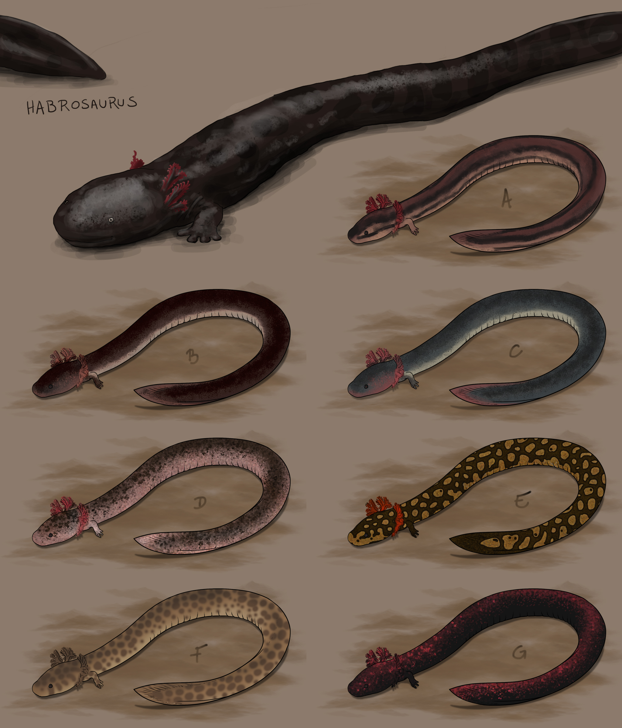 Эволюция змеи. Эволюция змеи с древнейших времен.
