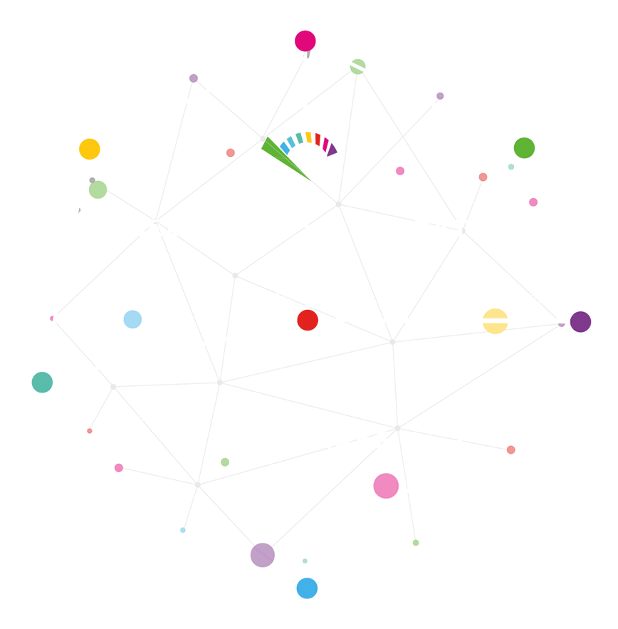 network Image