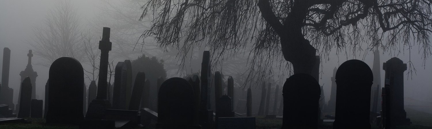 Meet you at the graveyard sovan truong. Gothic header twitter. Twitter header Scary. Scared banner.