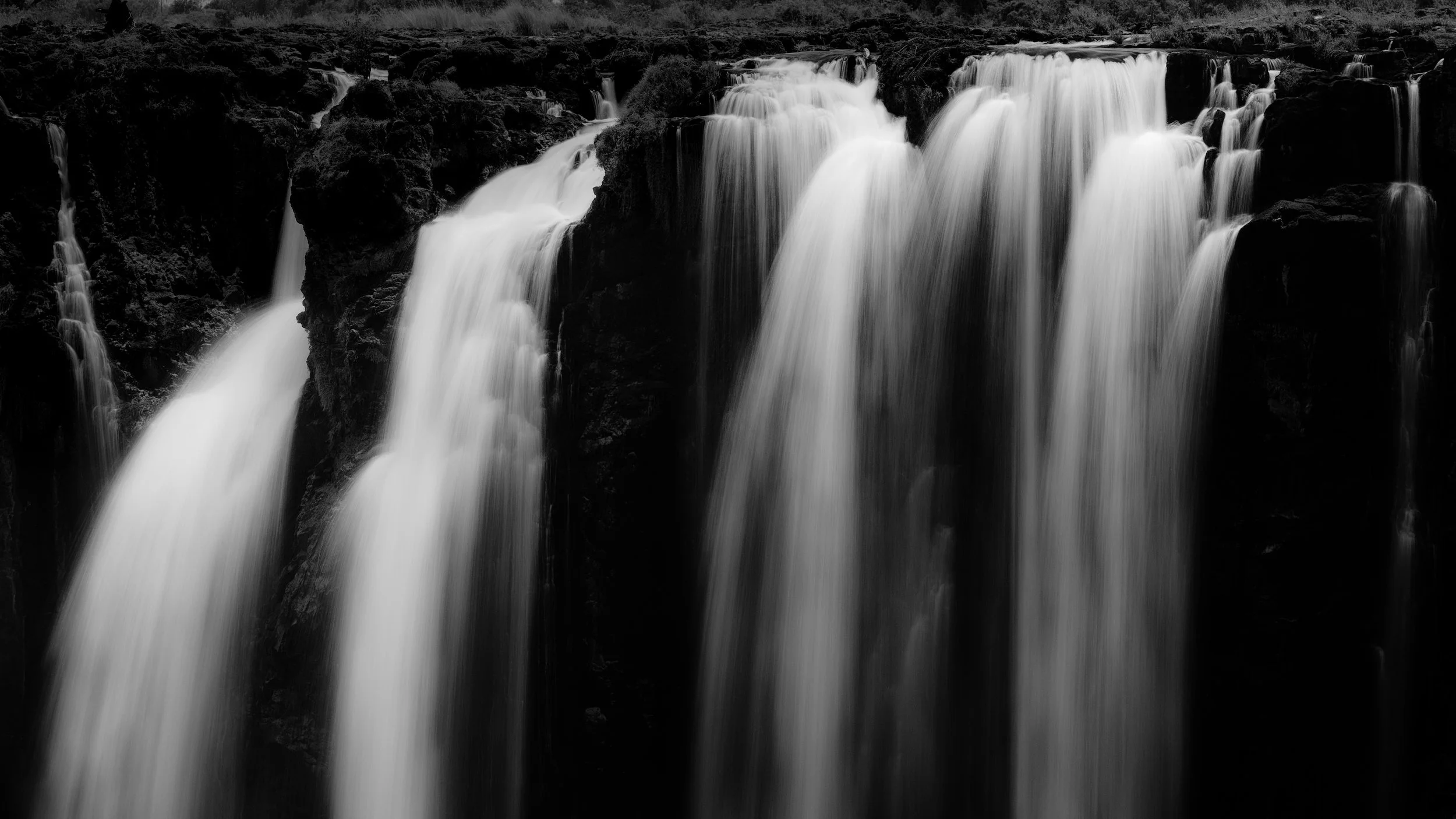 Black and white — veil of motion