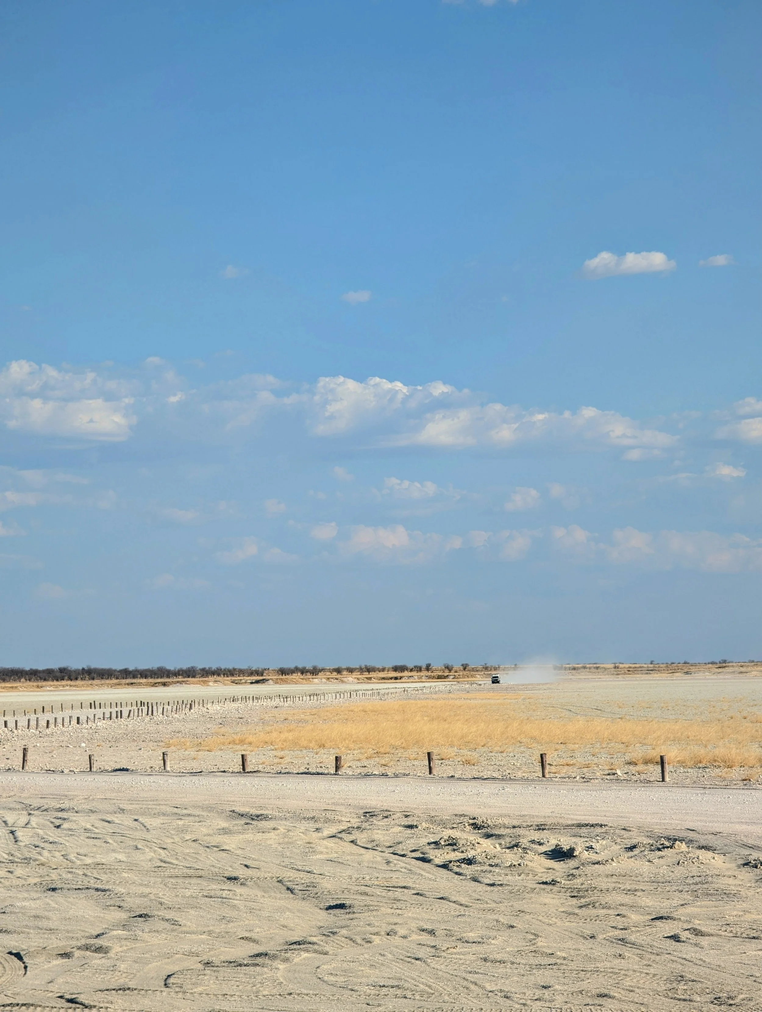 Etosha salt pan Namibia