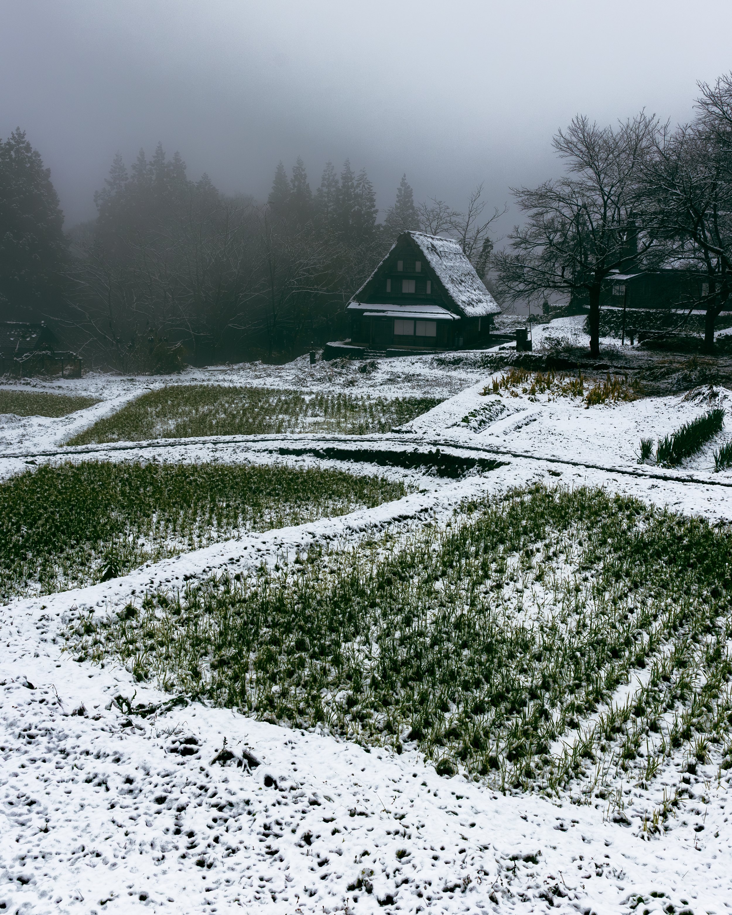 Traditional thatched roof in the snow