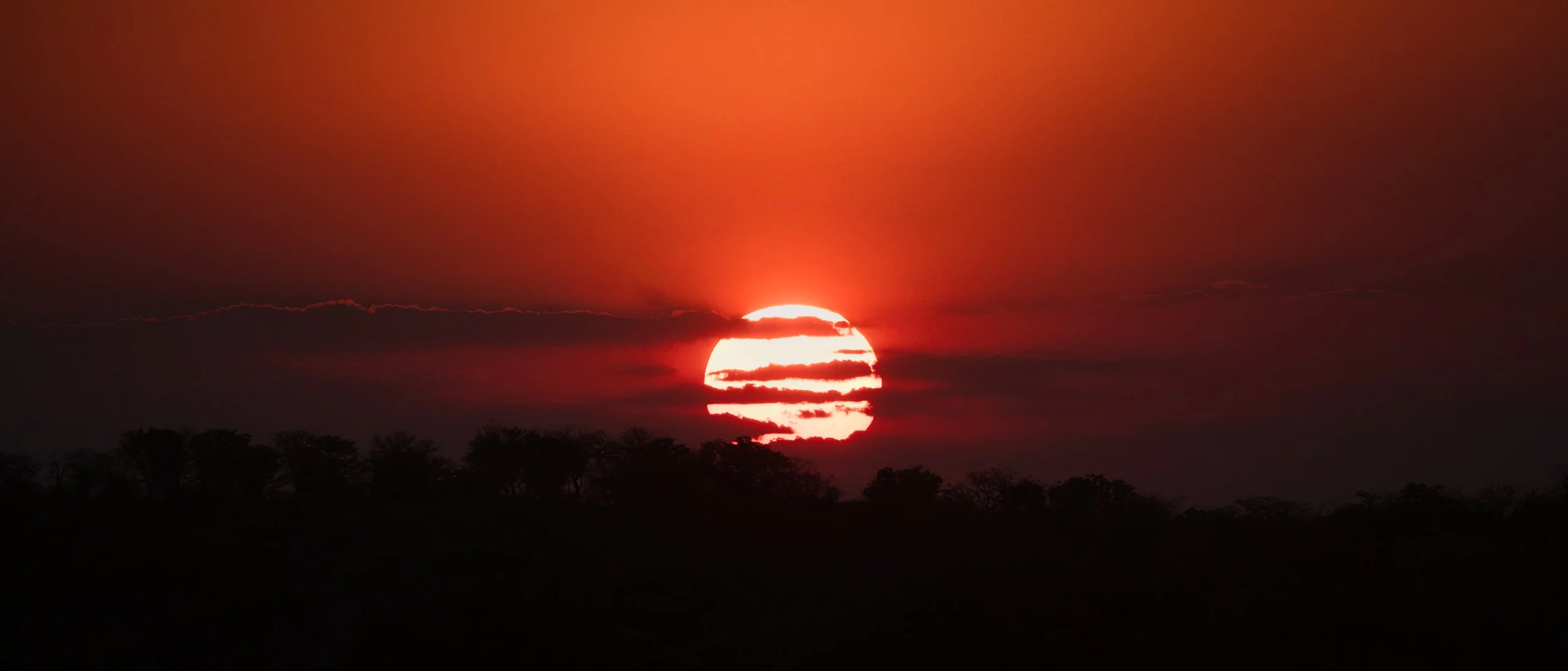 Etosha National Park landscape