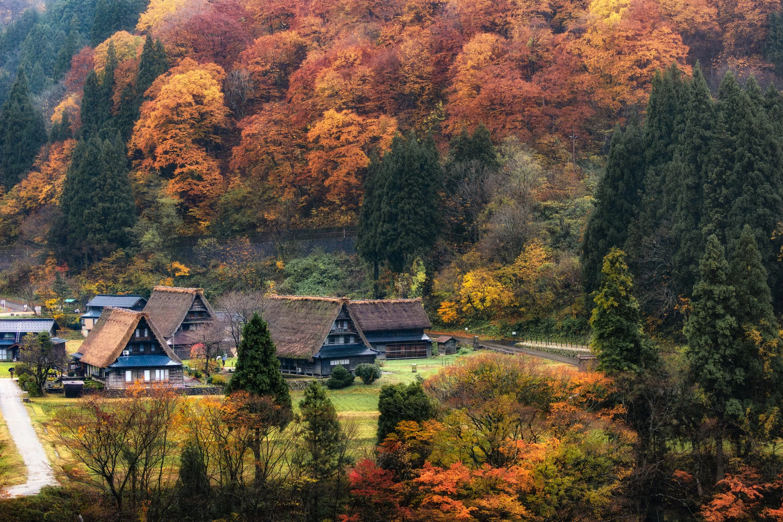 Cloudy day in the thatched villages of Gokayama