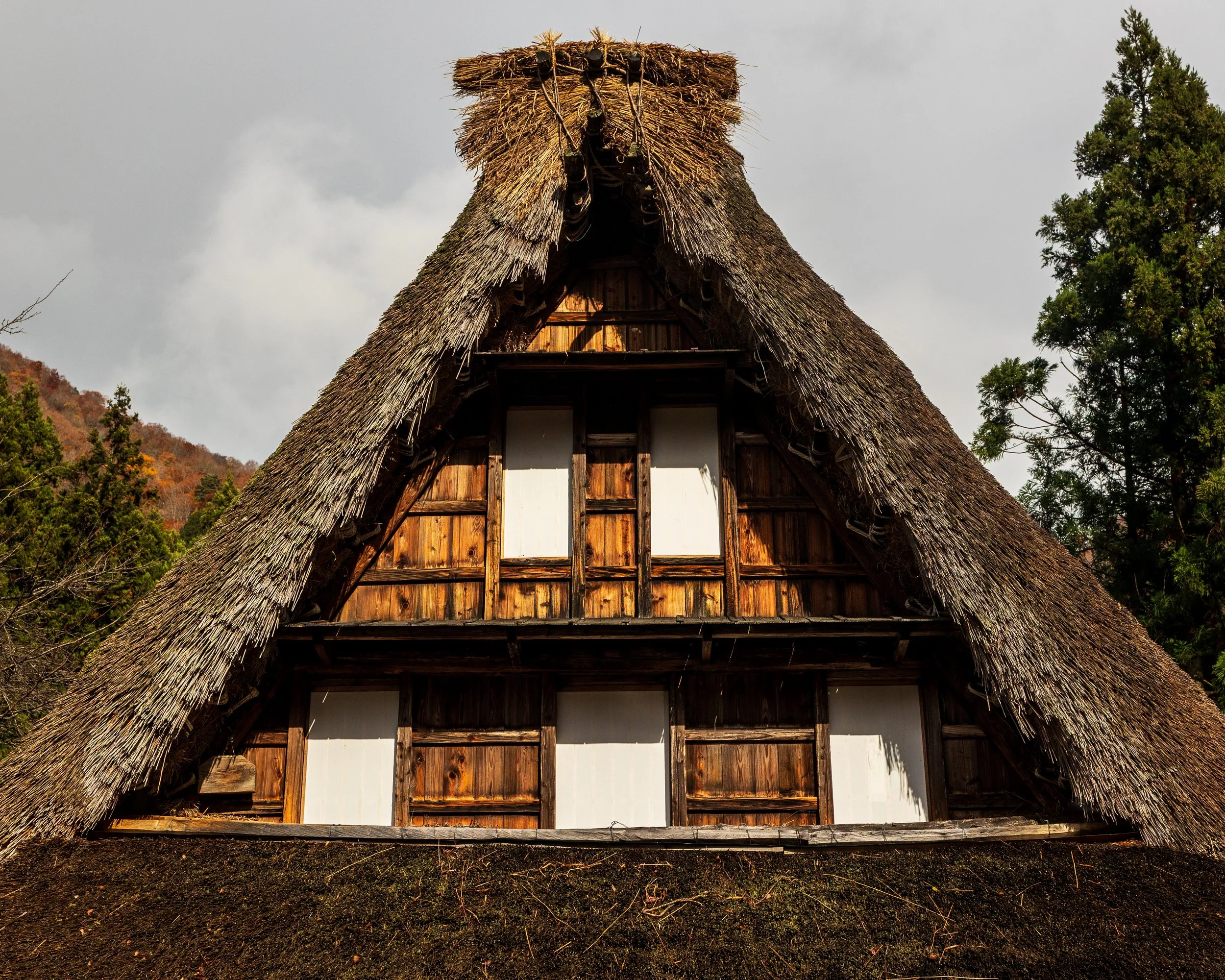Thatch texture detail