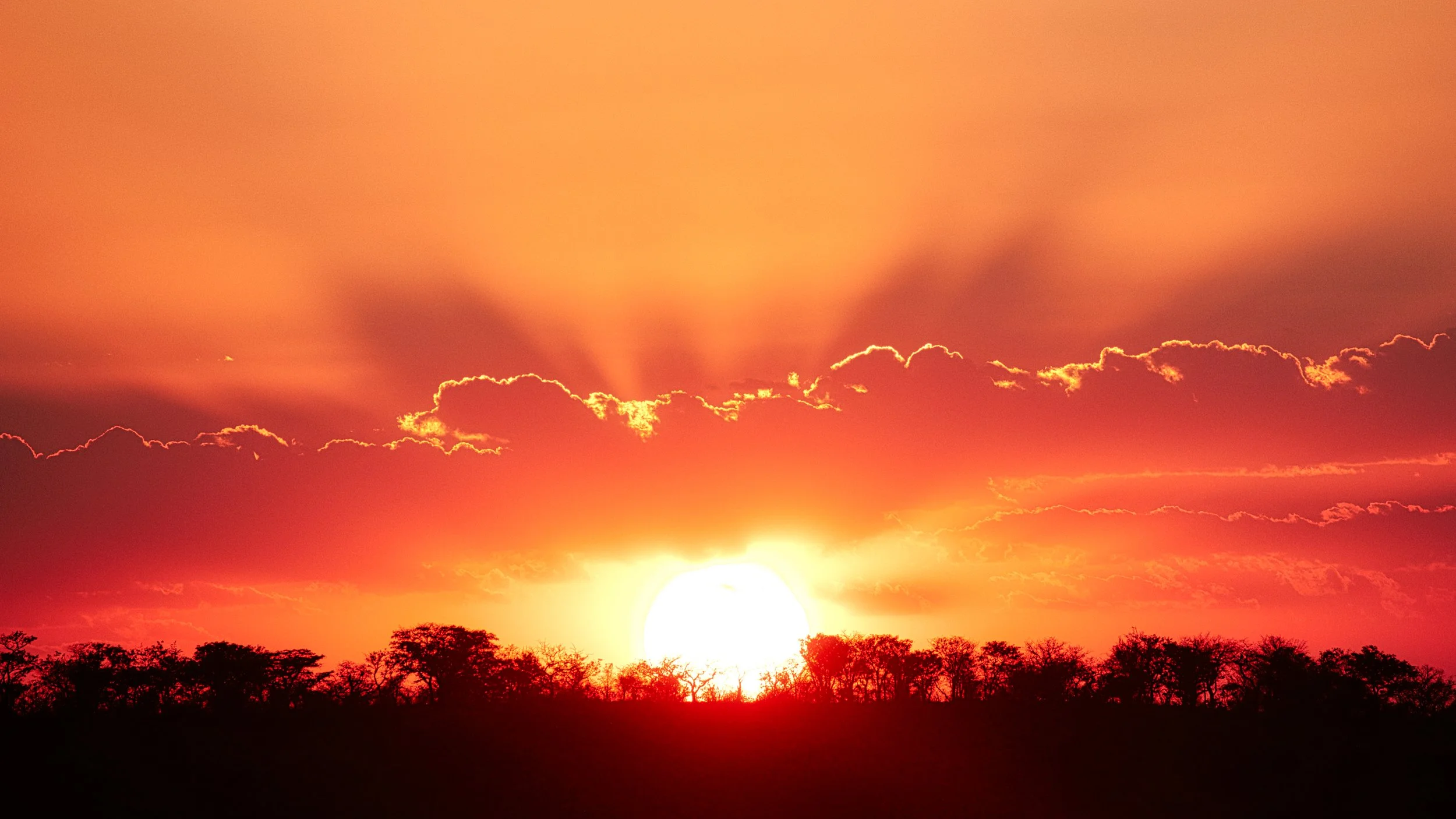 Dramatic sky Etosha