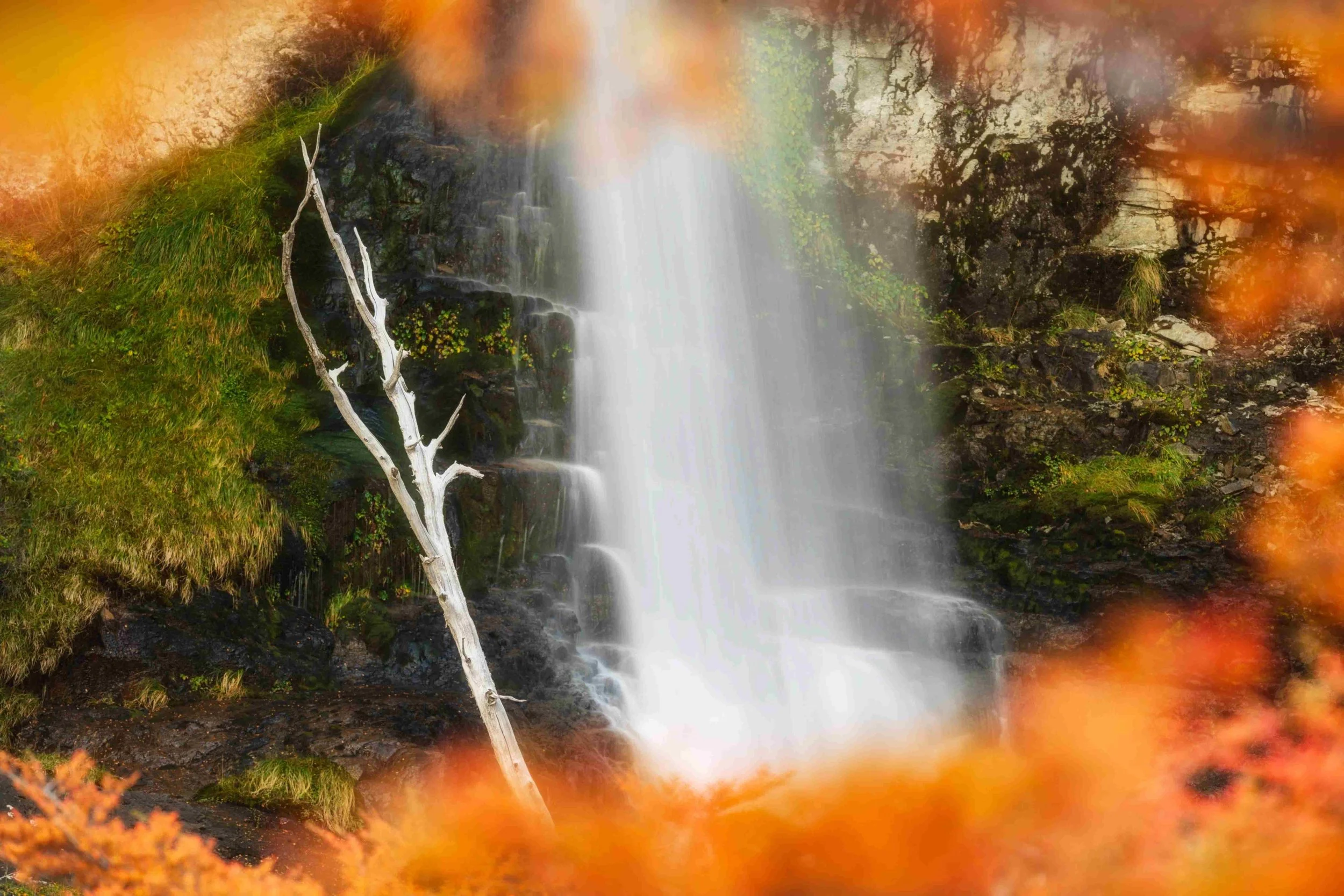 Frame within a Frame Fall Colour Patagonia