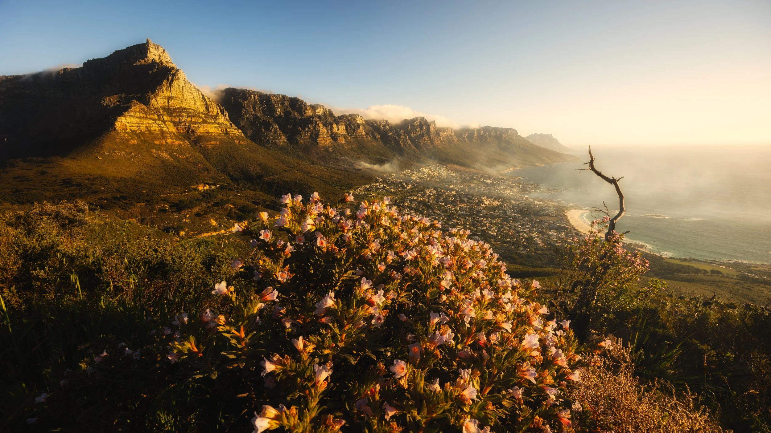 Cape Town landscape photography from Lion's Head